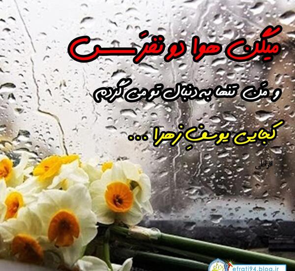 عکس پروفایل تولدت مبارک نرگس