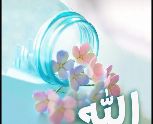 عکس های زیبای نام الله