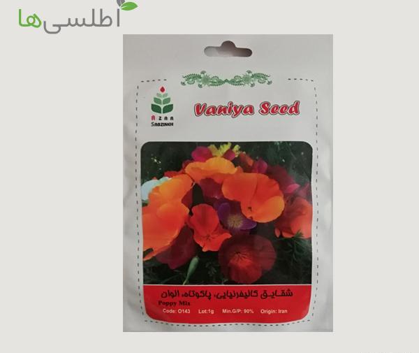 عکس بذر گل قهر و آشتی