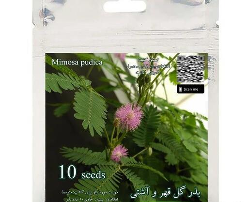 عکس بذر گل قهر و آشتی