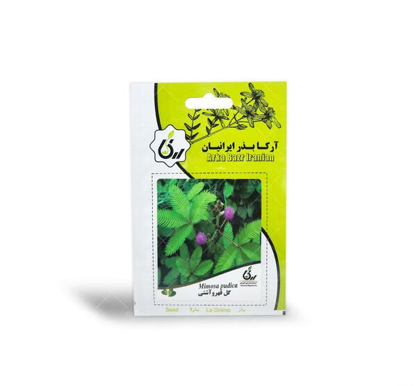 عکس بذر گل قهر و آشتی