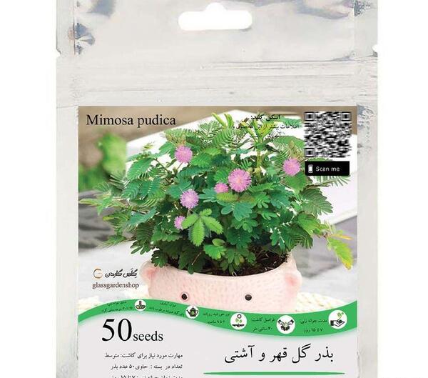عکس بذر گل قهر و آشتی