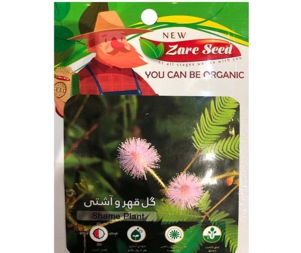 عکس بذر گل قهر و آشتی