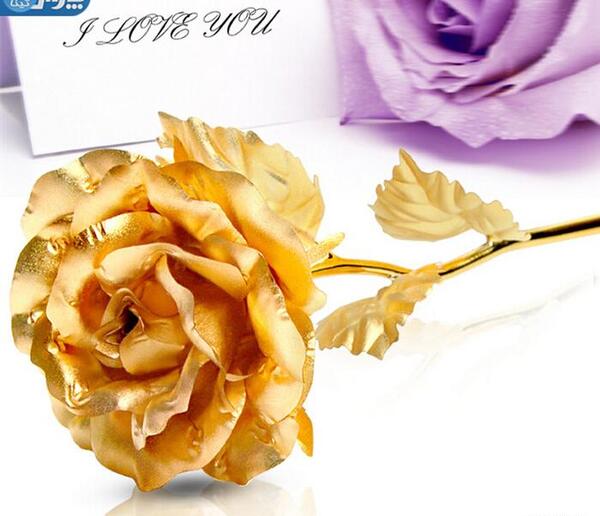 عکس گل طلایی رنگ