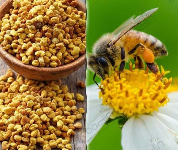 عکس خواص گرده گل