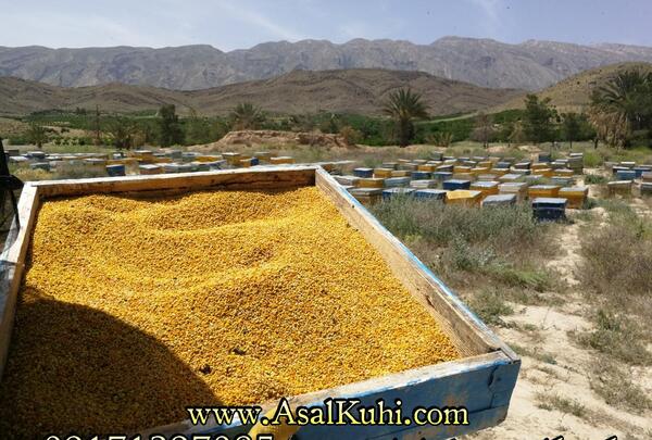 عکس خواص گرده گل