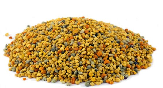 عکس خواص گرده گل