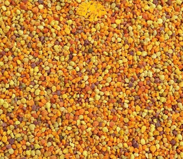 عکس خواص گرده گل