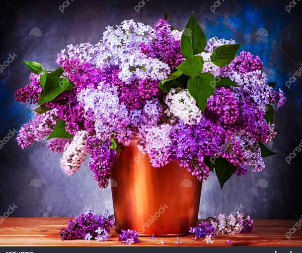 عکس گل کاغذی برای پروفایل