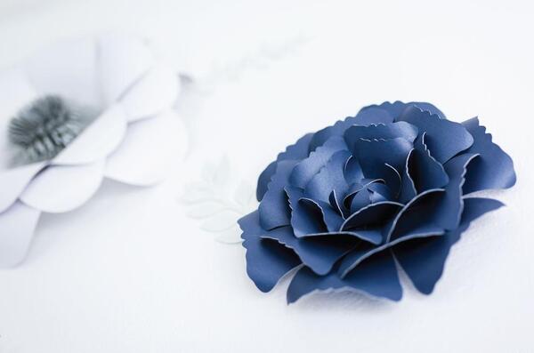 عکس گل کاغذی برای پروفایل