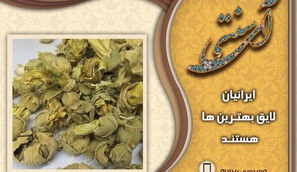 عکس گل ختمی خشک شده