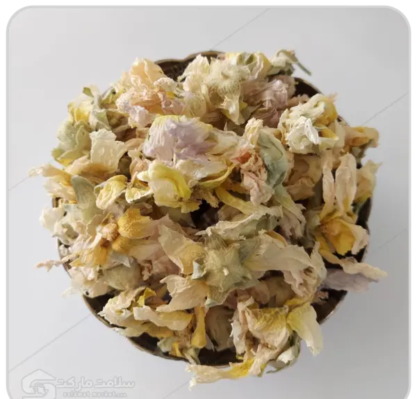 عکس گل ختمی خشک شده