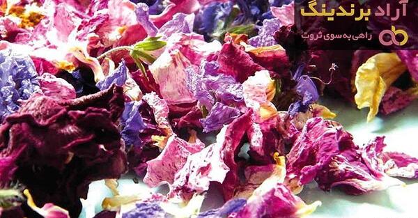 عکس گل ختمی خشک شده