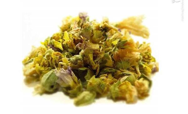 عکس گل ختمی خشک شده