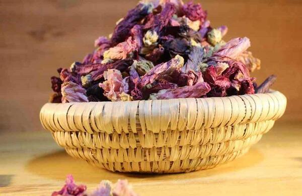 عکس گل ختمی خشک شده