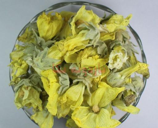 عکس گل ختمی خشک شده