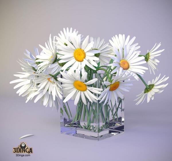 عکس گل مینا کریستالی