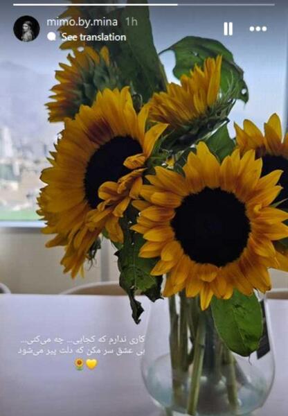 عکس گل مینا کریستالی