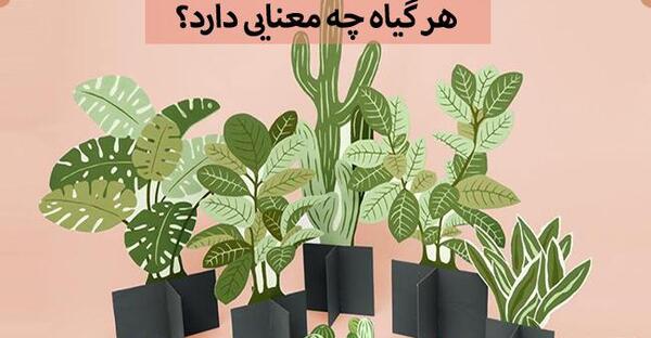 عکس گل نماد ثروت