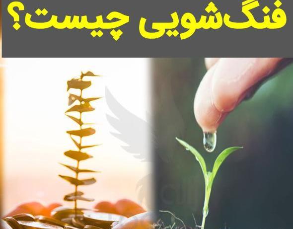عکس گل نماد ثروت