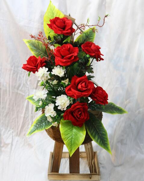 عکس گل کوکب سفید