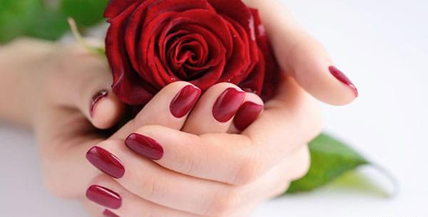 عکس گل غمگین قرمز