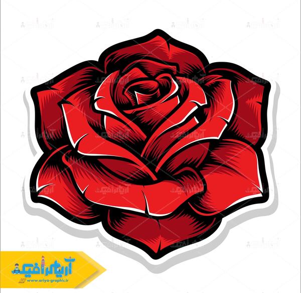 عکس گل غمگین قرمز