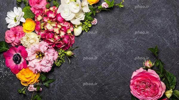 عکس گل خیلی زیبا برای تصویر زمینه