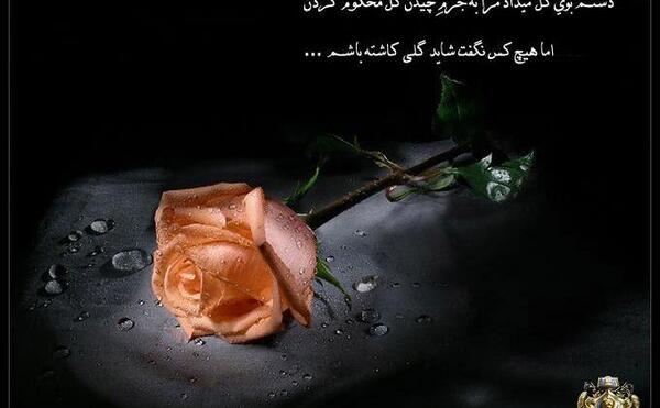 زیباترین عکس گل نوشته دار
