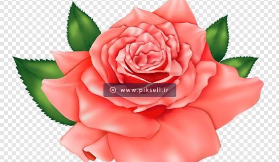عکس گل کارتونی زیبا