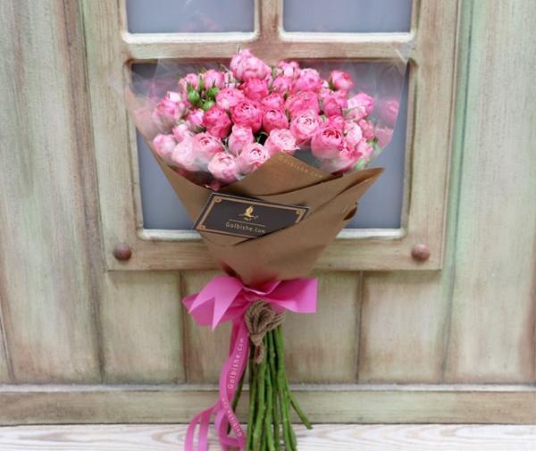 عکس گل داوودی مینیاتوری