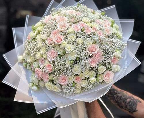 عکس گل داوودی مینیاتوری