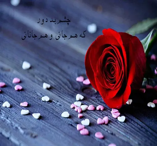 عکس هایی از گل های عاشقانه