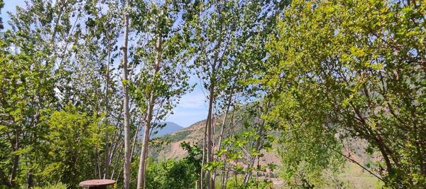 عکس روستای سیاه رودبار