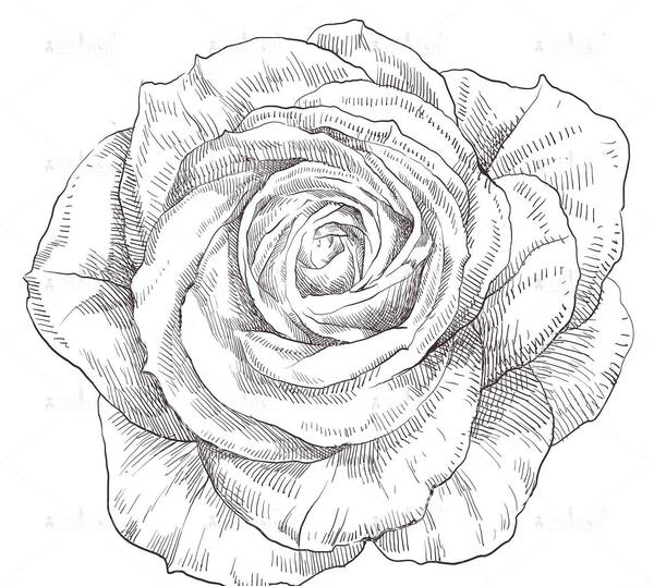 عکس گل سیاه سفید برای طراحی