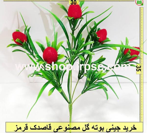 عکس گل قاصدک جدید