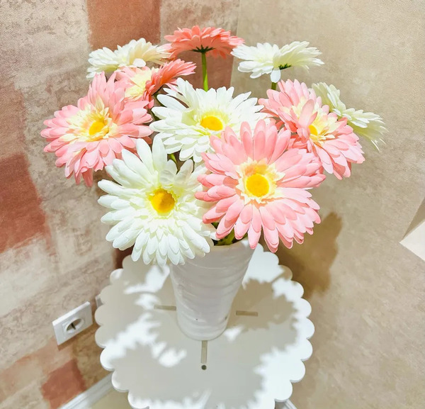 عکس گل ژربرا سفید