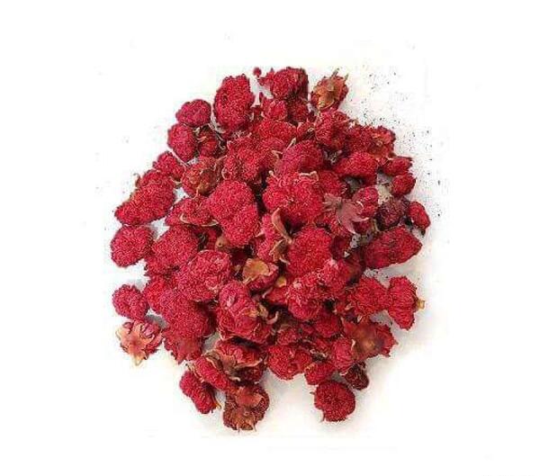 عکس گل درخت انار
