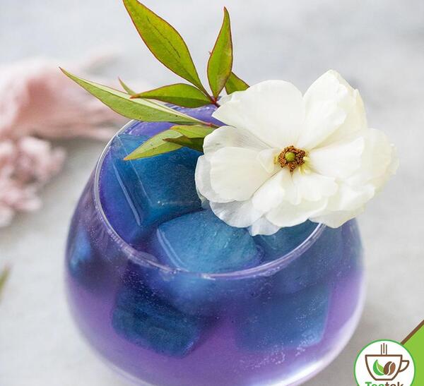 گیاه گل گاوزبان عکس