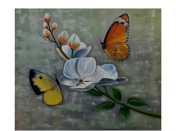 عکس گل و پروانه برای نقاشی