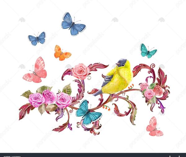 عکس گل و پروانه برای نقاشی