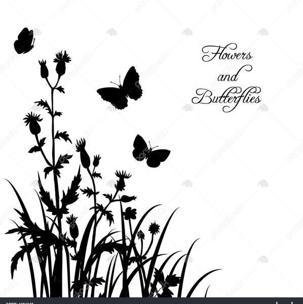 عکس گل و پروانه برای نقاشی