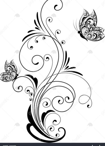 عکس گل و پروانه برای نقاشی
