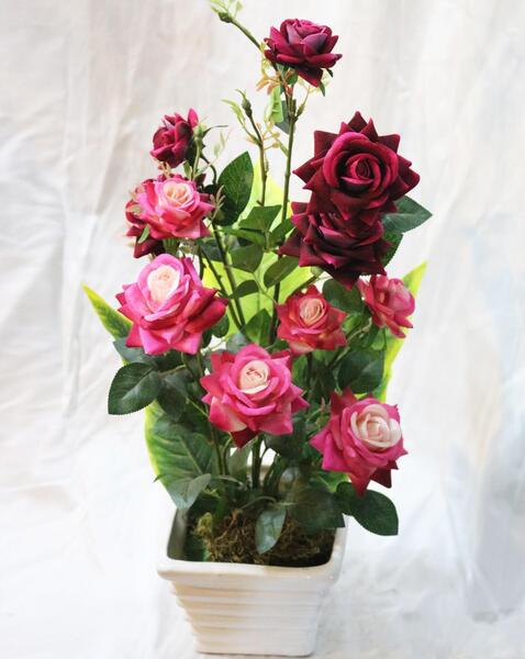 عکس گل در گلدان طبیعی