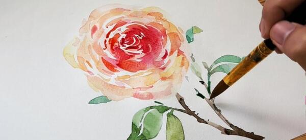 عکس گل برای نقاشی حرفه ای