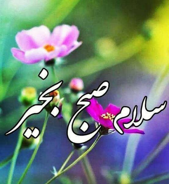 عکس گل سلام صبح بخیر