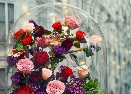 عکس گل در شیشه برای پروفایل