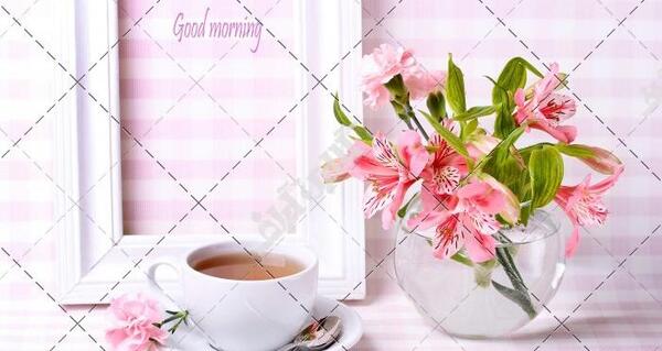 عکس دکتر گل چای