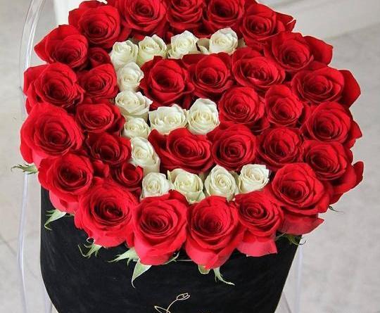 عکس عاشقانه حرف e
