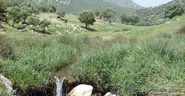 عکس سیاه سفید کوه